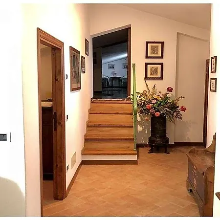 Ξενοδοχείο Bucatino Comfortable 3*