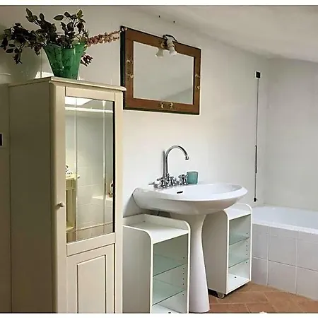 Ξενοδοχείο Bucatino Comfortable 3*